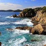Casino Des Palmiers 4* Ιέρ