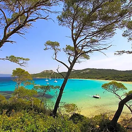 Casino Des Palmiers Hotel 4*